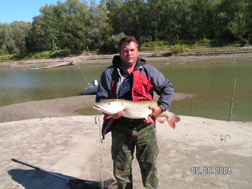 �� ���������� BASS ASSASSIN 4"