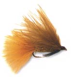 ������� ���� (Dawson`s Olive)